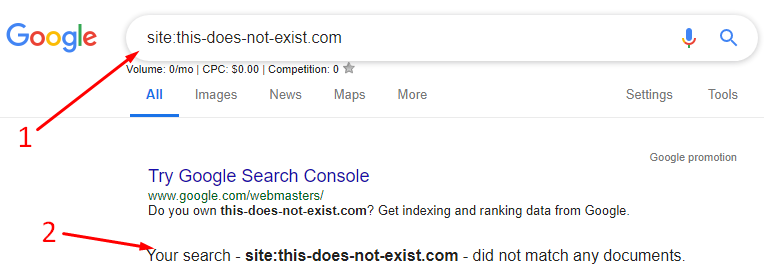 My website is not showing on google search